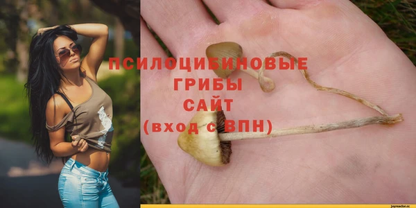 ECSTASY Каменск-Шахтинский