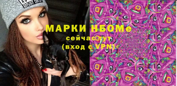 дживик Каменногорск