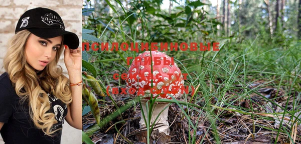 дживик Каменногорск