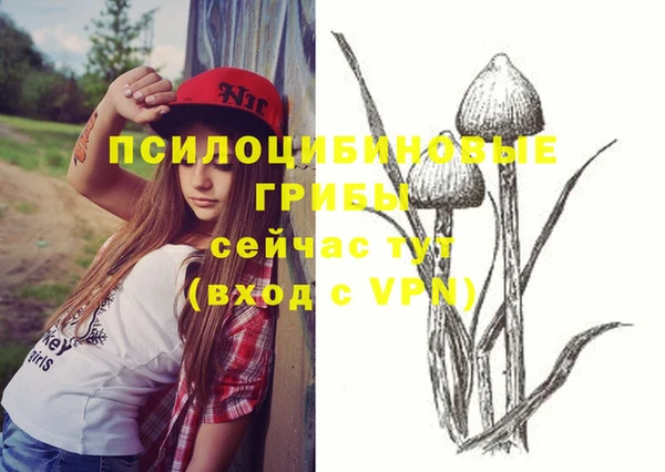 дживик Каменногорск