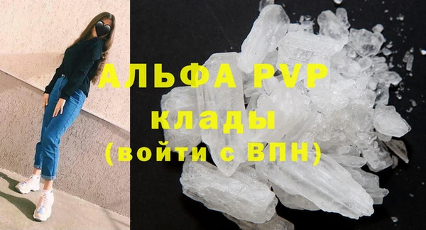 дживик Каменногорск
