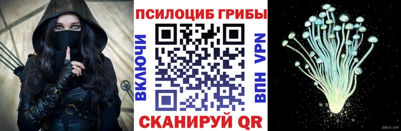 Купить закладки  Енисейск  Псилоцибиновые грибы GOLDEN TEACHER 